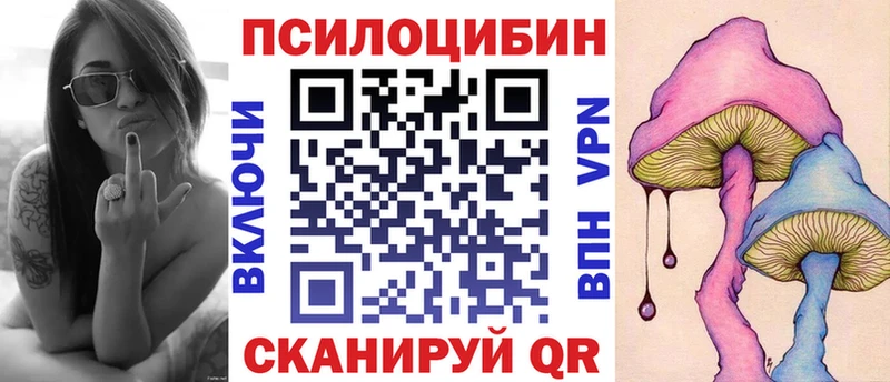 мориарти Telegram  закладки  Новодвинск  Галлюциногенные грибы мухоморы  kraken рабочий сайт 