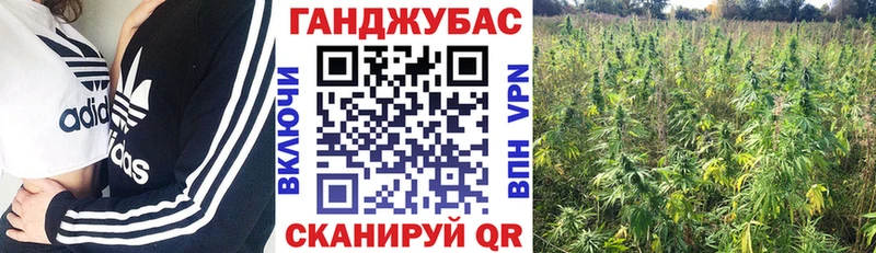 где можно купить наркотик  даркнет состав  MEGA зеркало  Бошки марихуана MAZAR  Новодвинск 
